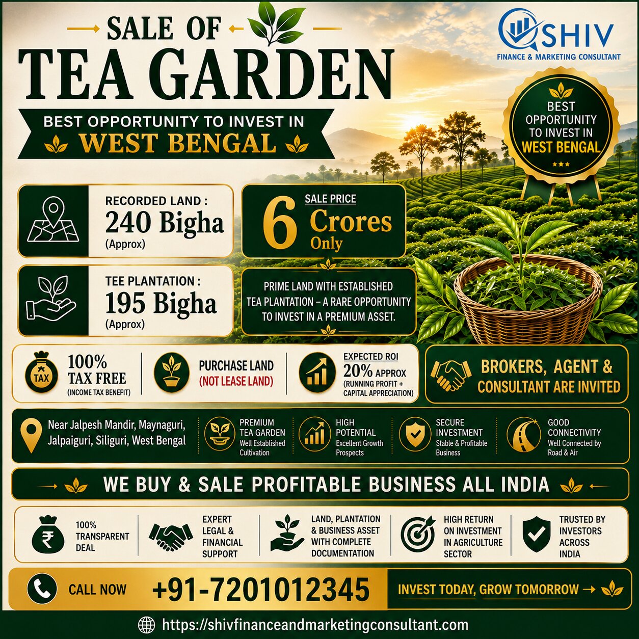 Tea Garden for Sale – West Bengal